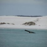 Reste vom Wrack der Endeavour II