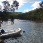 Riverier Bleue de Prony