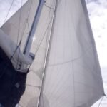 Schmetterlingssegeln