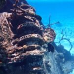 Schnorcheln am Wrack