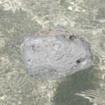 schwimmender Bimsstein