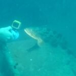 so nah kommen wir den Fischen