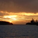 Sonnenuntergang mit Pinien