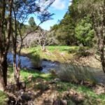 Spaziergang entlang des Hatea Rivers