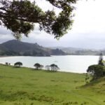 Spaziergang im Mimiwhangata Park