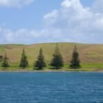 Station Bay, Motutapu Island