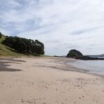 Strand auf Moturoa Island