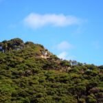 Suchbild - Benno und Marco