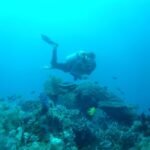 Tauchen an der White Wall