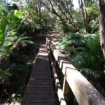 Teil des Tramline Tracks