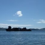 Pilze als Tierfiguren