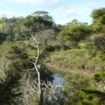 und dann ging nix mehr