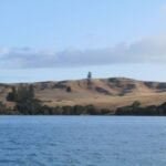 und der einsame Baum