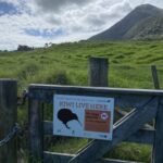 und gehen an Land spazieren