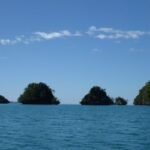 und hier wieder Pilzköpfe