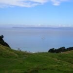 und noch ein paar mehr