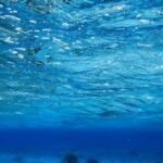 und nochmal das glasklare Wasser