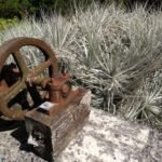 und Werkzeug aus dem ehemaligen Steinbruch