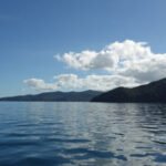 und wieder die Westküste