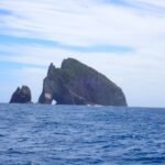 und zum x-ten Mal das Mammut