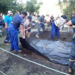 unter der Folie ist das Essen