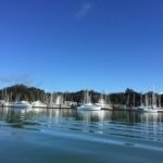 viele Boote in der Marina