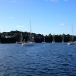 viele Boote vor Neiafu