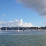 viele Boote vor Opua