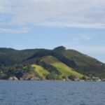 vor Whangaroa Harbour