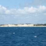 weiße Dünen in The Far North