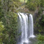 Whangarei Falls