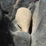 wie der wohl dahin kommt