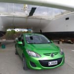 wieder da mit Frosch