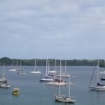 wieder im Mooringfeld vor Neiafu