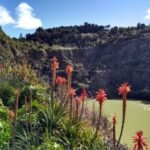 wieder in den Quarry Gardens Whangarei