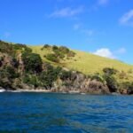 wieder vor Waewaetorea