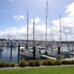 wieder zurück in der Marsden Cove Marina