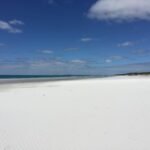 wir können uns kaum losreißen