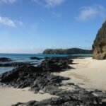 wir können uns nicht satt sehen