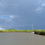 wir sind nicht die einzigen