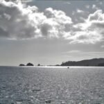 wir verlassen Whangaroa Harbour