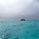 Wrack im Nord Minerva Riff