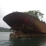 Wrack in Port Sandwich