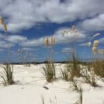 wunderschöne Landschaft