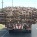 Zuckerrohrtransport