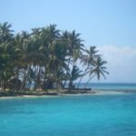 zwischen den Palmen die Hütten der Kunas